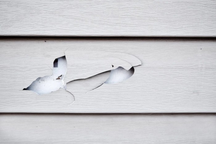 I Tested the Best Repair Kit for Vinyl Siding: My Honest Review and ...